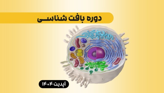 بافت‌شناسی 