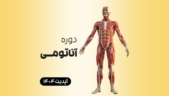  آناتومی