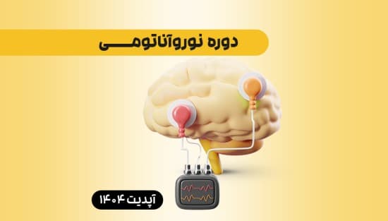 نوروآناتومی