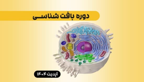 بافت‌شناسی 