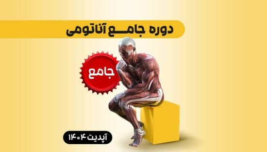 جامع آناتومی 