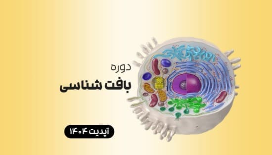 بافت‌شناسی 