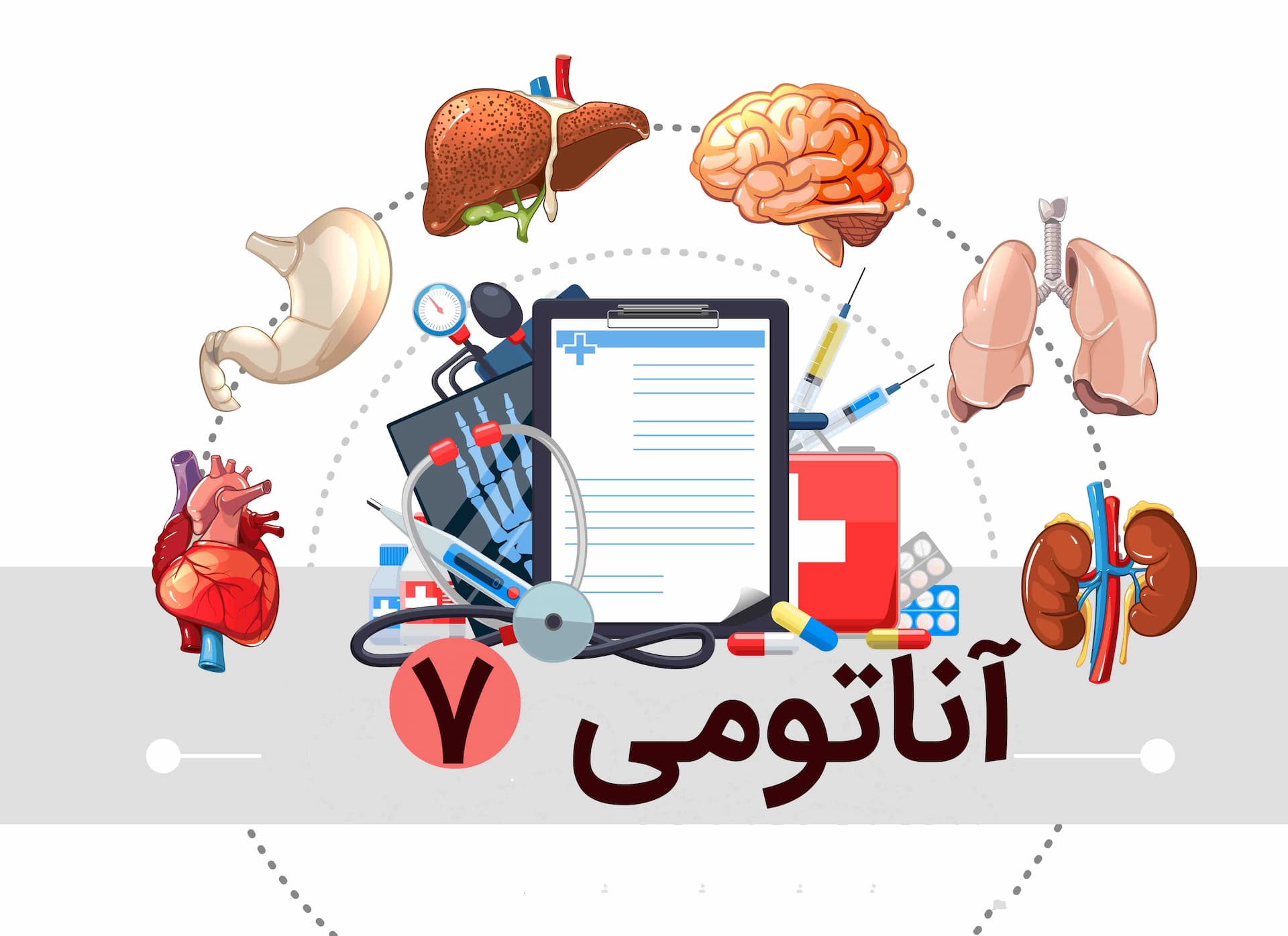 آناتومی چشم و گوش