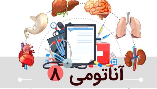 اعصاب سر و گردن