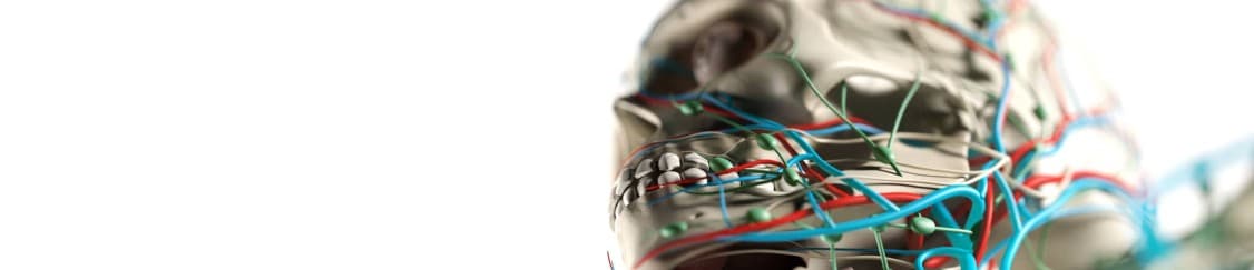 جامع آناتومی دندانپزشکی