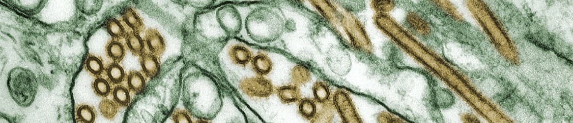 نکته و تست ویروسشناسی