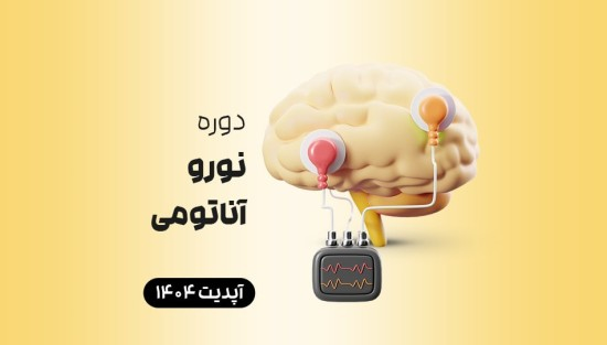 نوروآناتومی